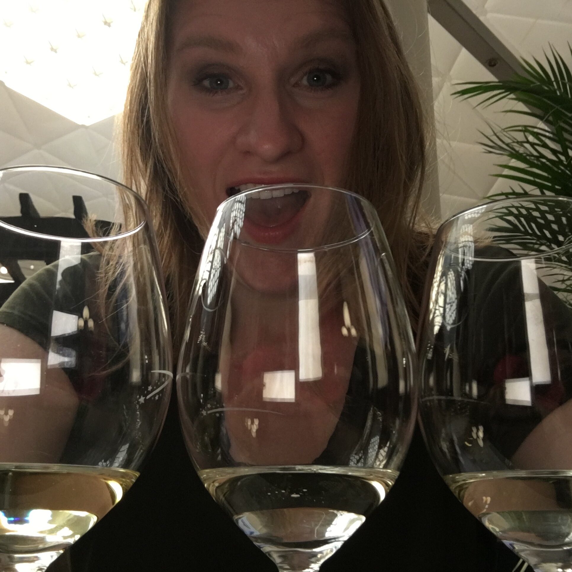 Dry Riesling tasting at 2016 Food and Wine Festival